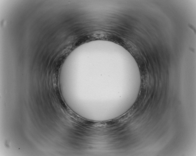 X0000099310606200805020733
