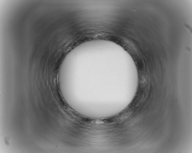 X0000099310607200805020733