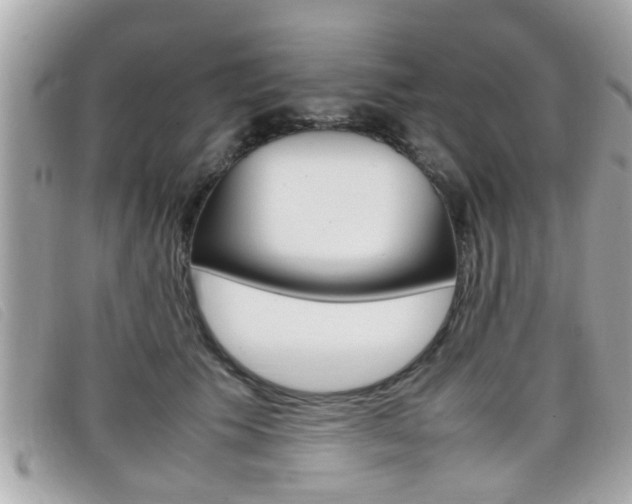 X0000099310609200805020733