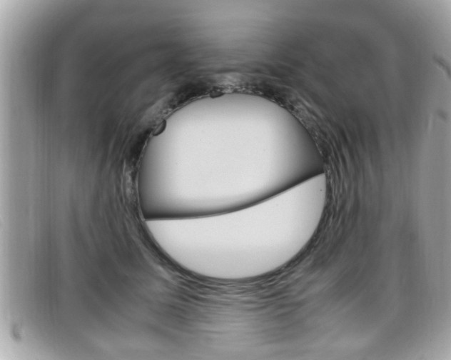 X0000099310611200805020733