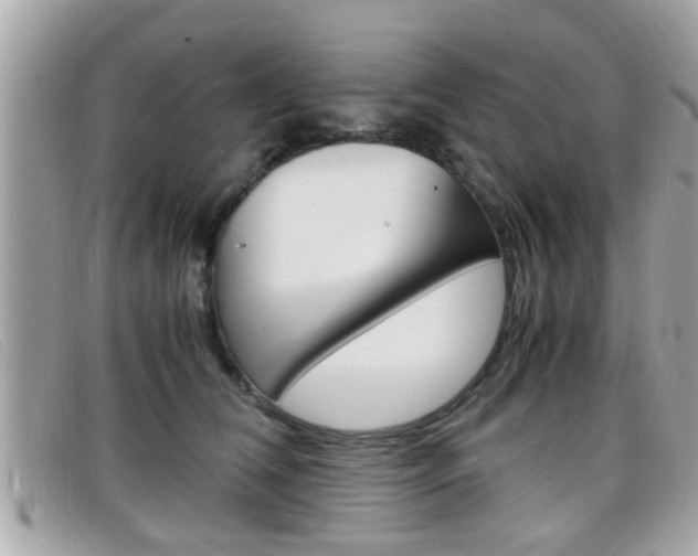 X0000099310612200805020733