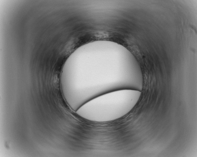 X0000099310614200805020733