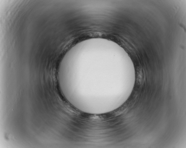 X0000099310616200805020733