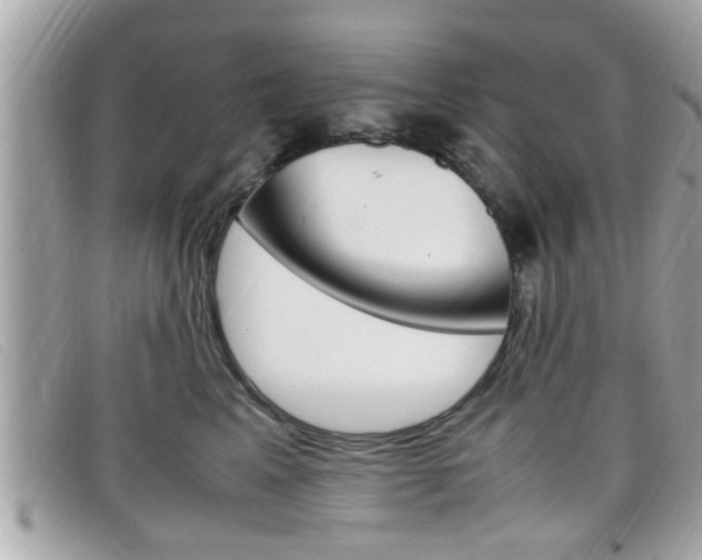 X0000099310617200805020733
