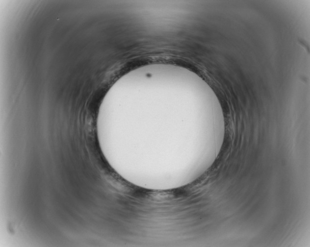 X0000099310619200805020733