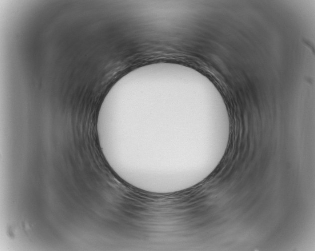 X0000099310621200805020733