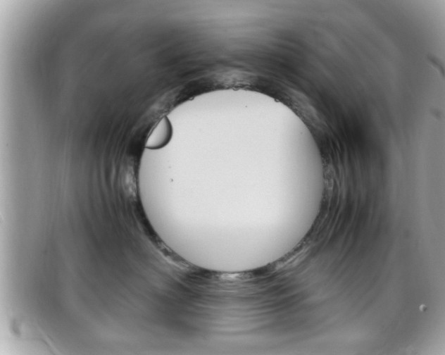 X0000099310622200805020733