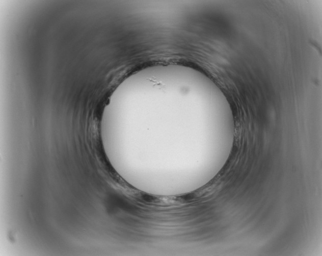 X0000099310623200805020733