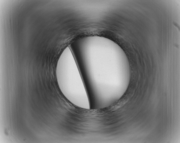 X0000099310624200805020733