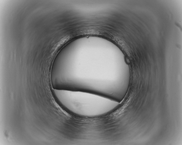X0000099310625200805020732