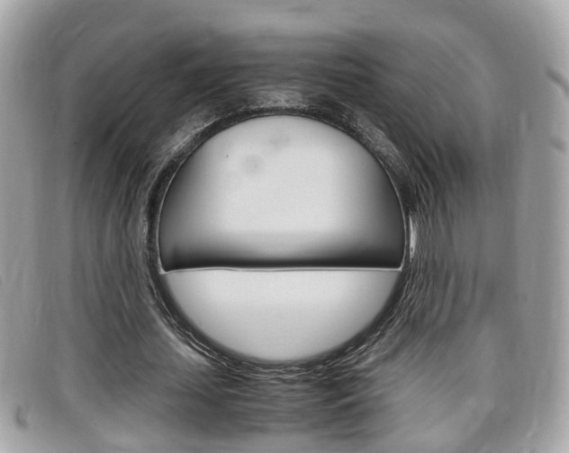 X0000099310627200805020732