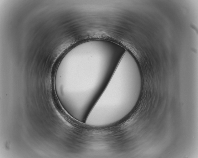 X0000099310630200805020733