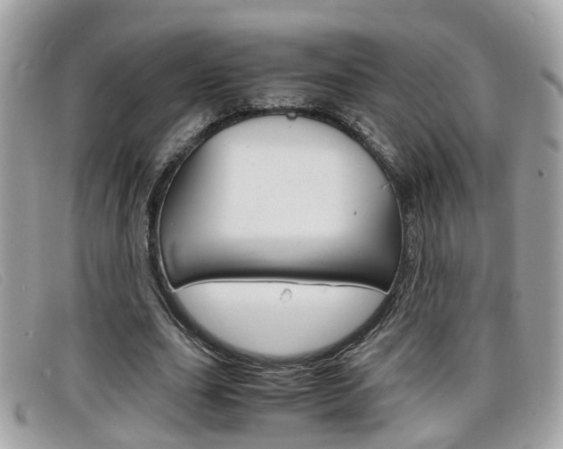 X0000099310631200805020733