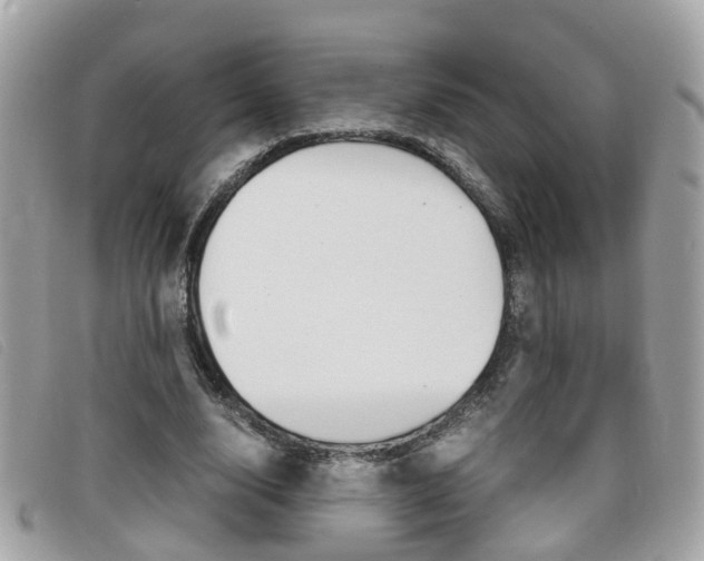 X0000099310632200805020733