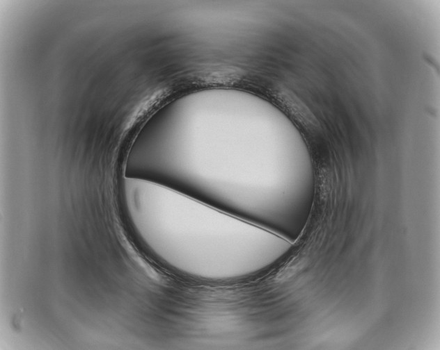 X0000099310634200805020733