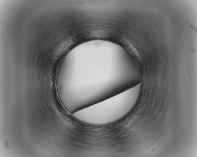 X0000099310635200805020733
