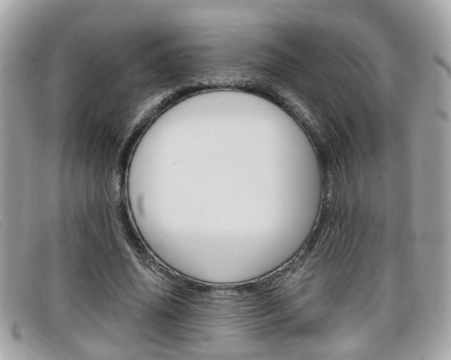 X0000099310636200805020733