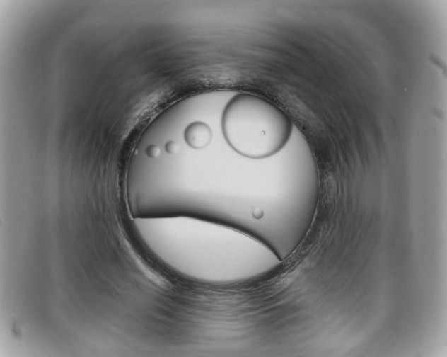 X0000099310638200805020733
