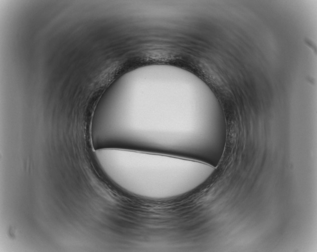 X0000099310639200805020733