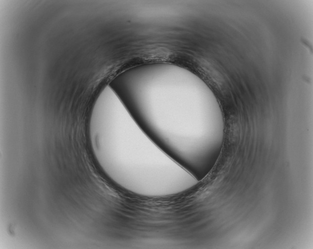 X0000099310641200805020733