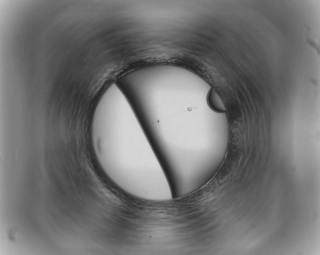 X0000099310642200805020733