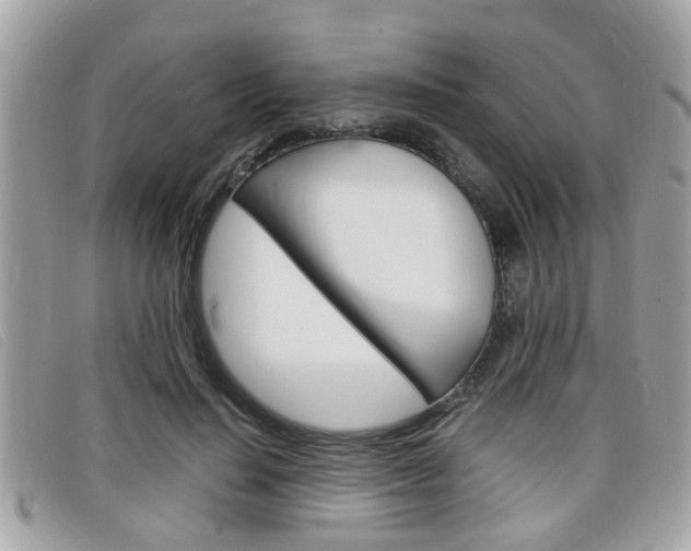 X0000099310644200805020733