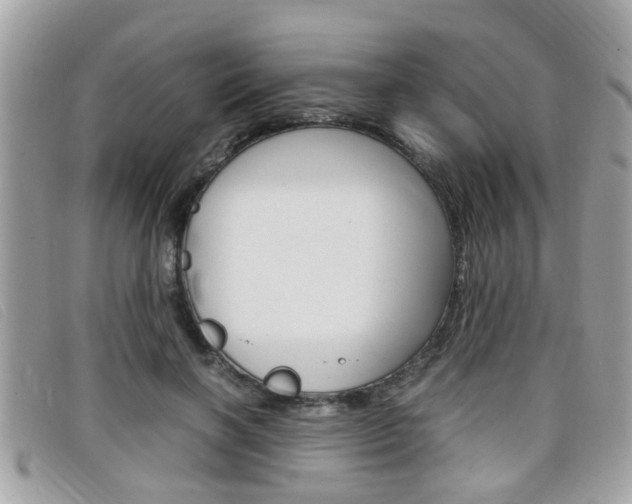 X0000099310646200805020733