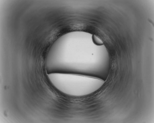 X0000099310647200805020733