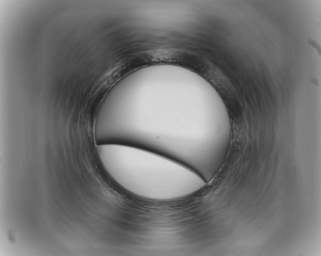 X0000099310648200805020733