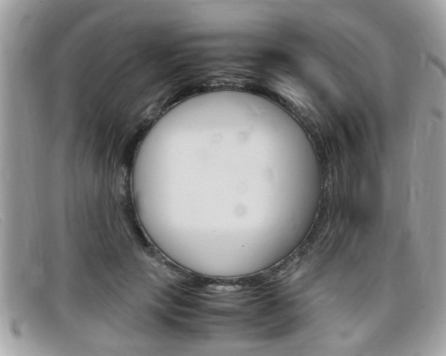 X0000099310649200805020733