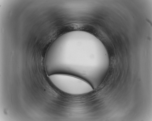X0000099310650200805020733