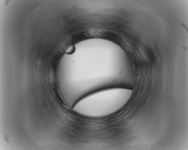 X0000099310651200805020733