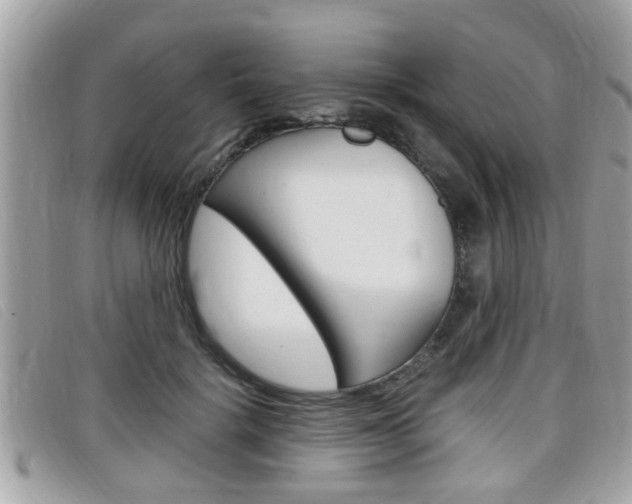 X0000099310652200805020733
