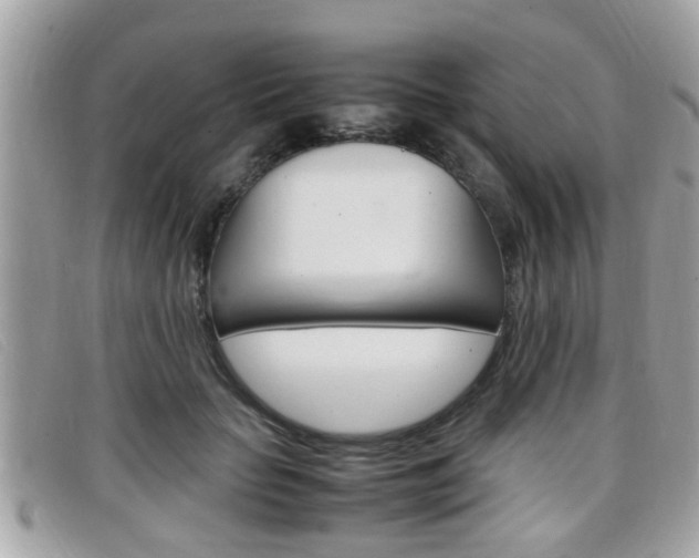 X0000099310653200805020733