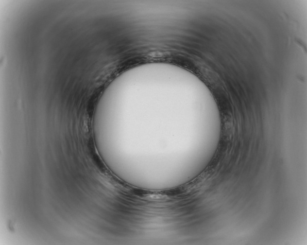 X0000099310654200805020733