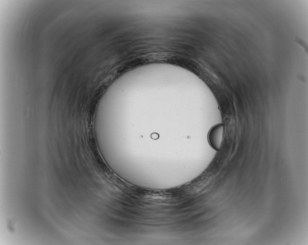 X0000099310655200805020733