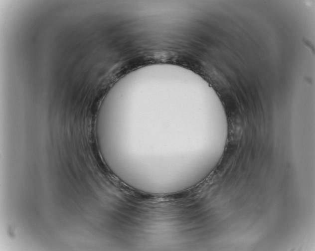 X0000099310656200805020733