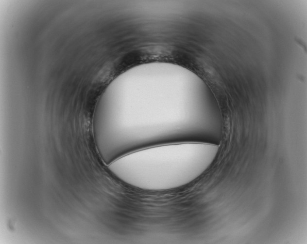 X0000099310657200805020733