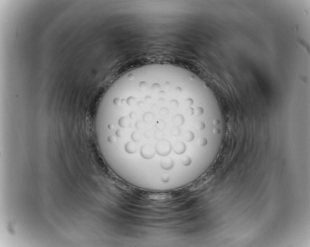 X0000099310659200805020733
