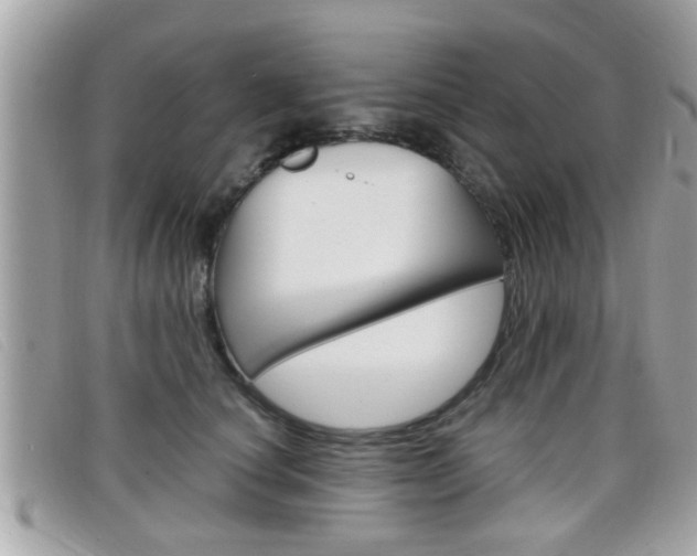 X0000099310660200805020733