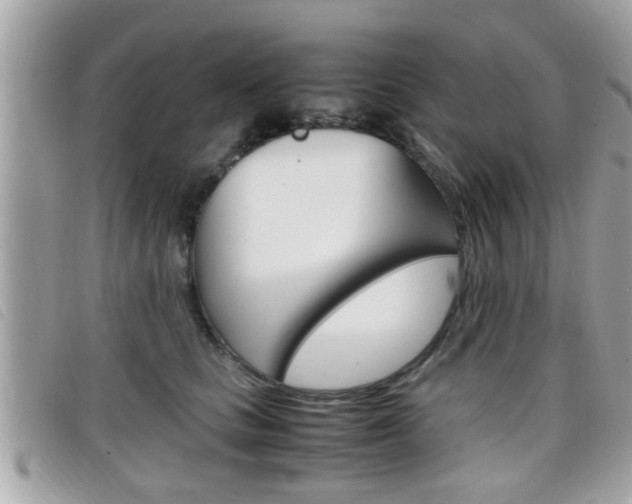 X0000099310661200805020733