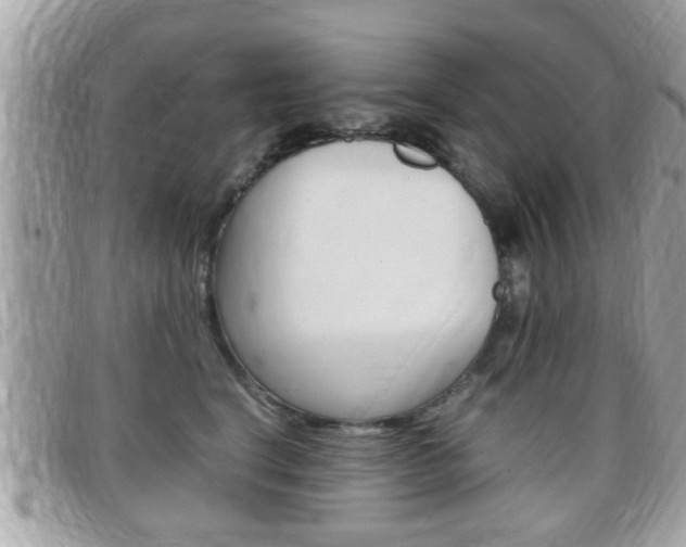 X0000099310664200805020733