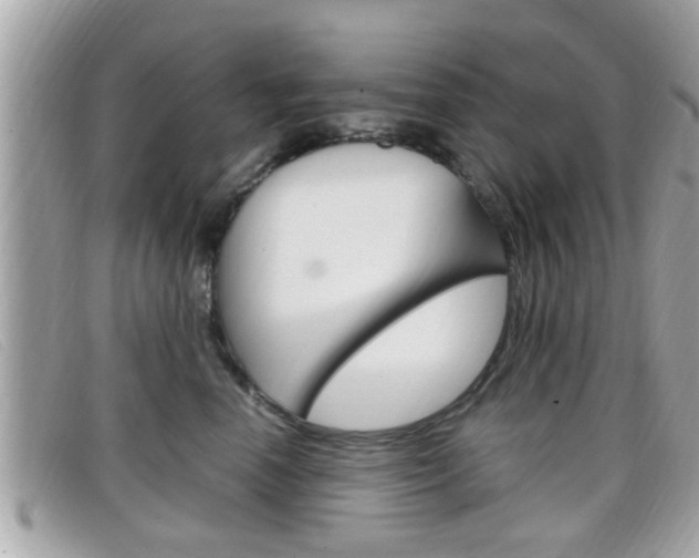 X0000099310666200805020733