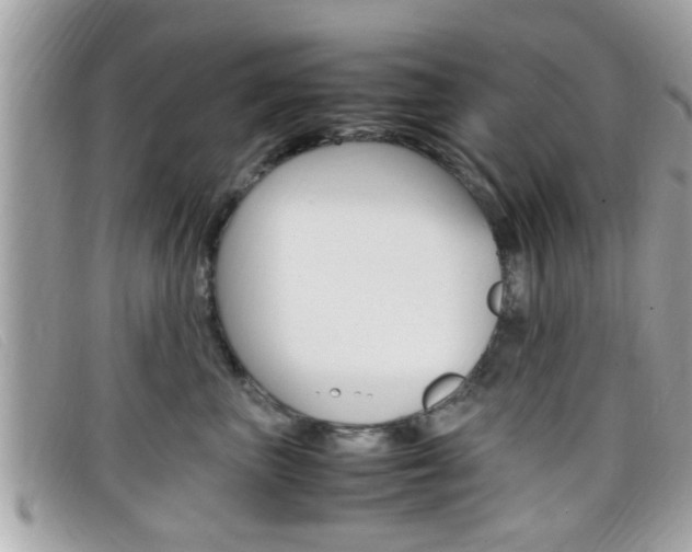X0000099310667200805020733