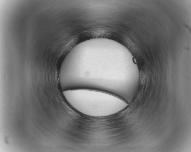 X0000099310670200805020733