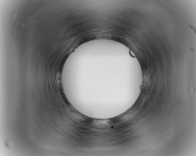 X0000099310671200805020733