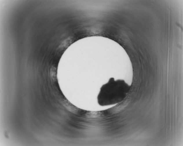 X0000099310672200805020733