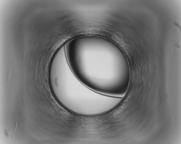 X0000099310673200805020732