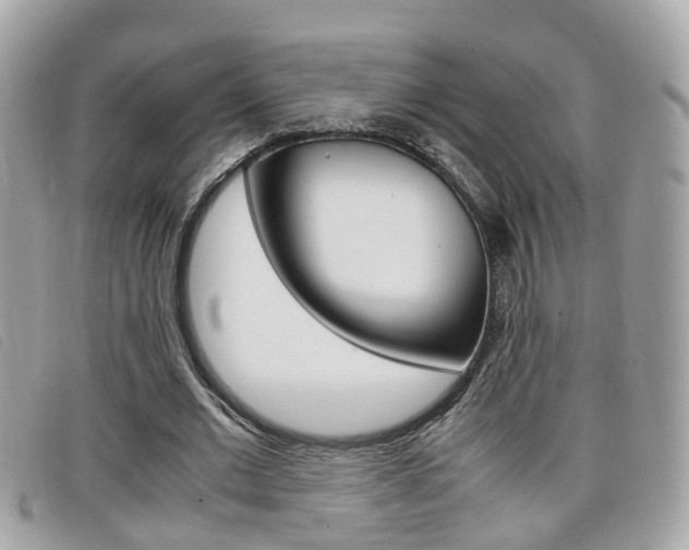 X0000099310677200805020732