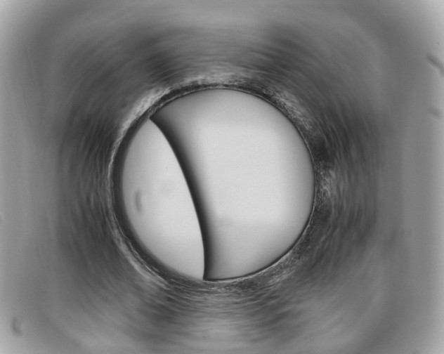 X0000099310678200805020732